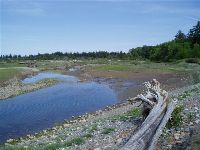 estuary scenic 1.jpg